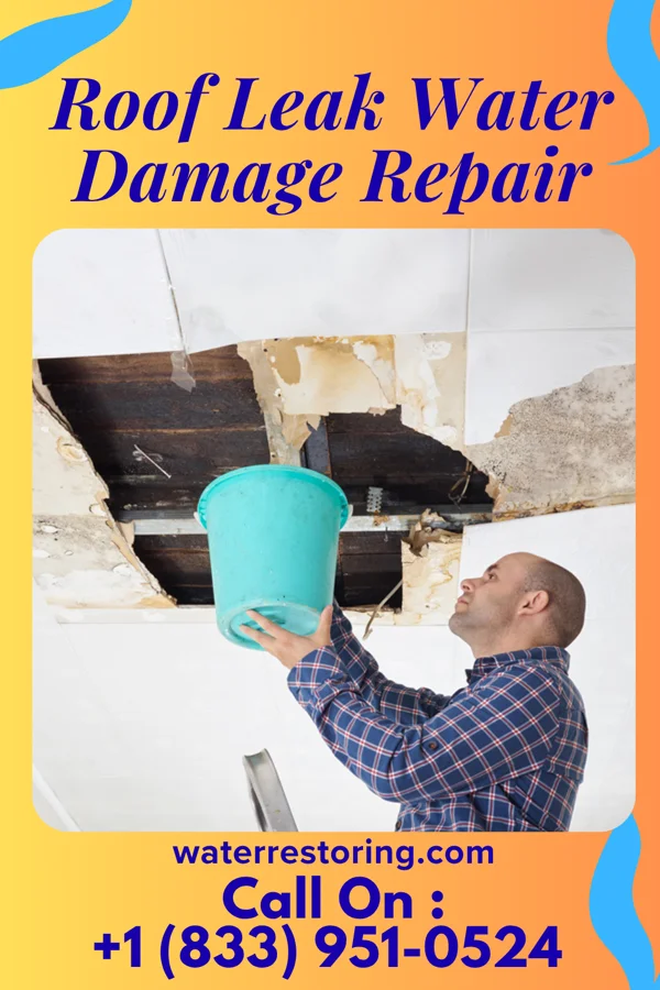 Roof Leak Water Damage Repair in Oxford, WI