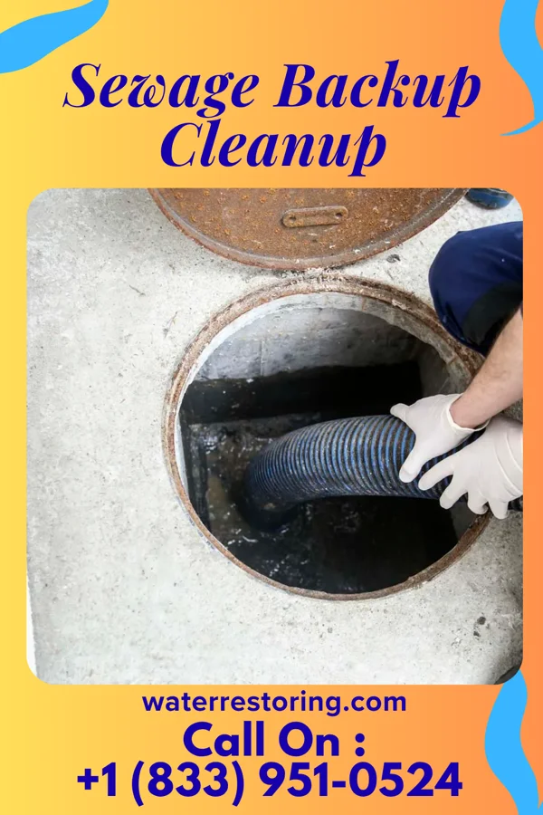 Sewage Backup Cleanup in Oxford, WI